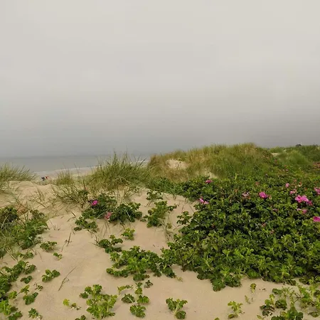 10 Person In * Blåvand